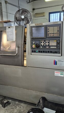 immagine whatsapp 2025-11-04 ore 10